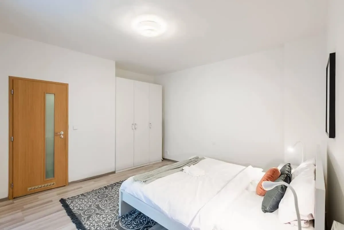 Charming Spacious Apartment In Central براغ جمهورية التشيك